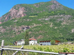 Brandlgut
