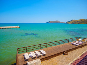 Эллинг у Зои