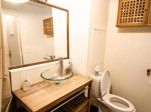 ****BaliChic/CDG/Asterix/Paris/Parc des expos****