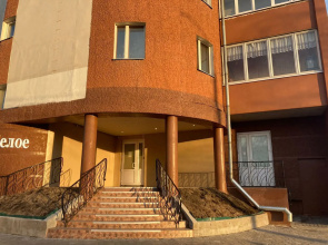 Barinn na ulice Fedota Subina