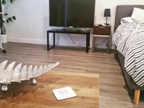 Modern & cosy studio unit on Island Bay beachfront