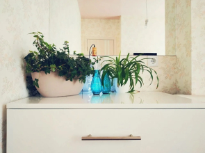 MalinaApt Pink Olive