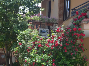 Trentinara Cilento