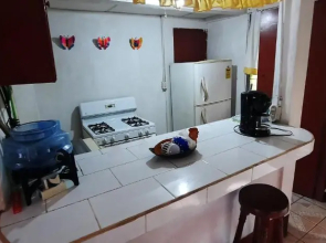Tropical Dreams Hostel