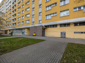 Near the Warta River Poznan by Renters