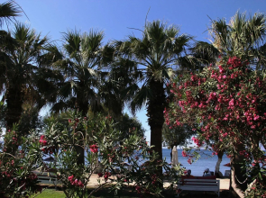 Yilmaz Hotel