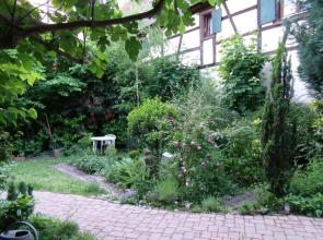 Apt. La Grenouillère De Turckheim