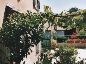Il Giuggiolo