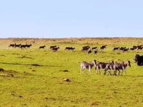 Pollards Inn Hotel, Kwantu Game Reserve