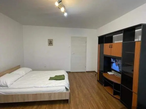 Bega Circumvalatiunii 1 Room Apartment - 3