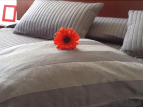 B&B Galleria Frascati