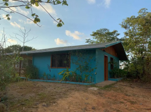 Room-villa With Primary Forest View