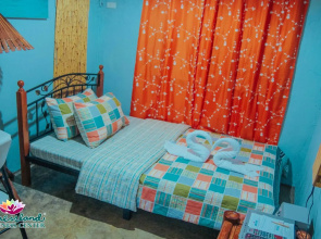 Wellnessland Wholeness Center
