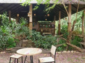 Microkosmos Guesthouse (Chiang Dao)