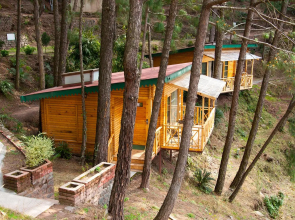 Kasauli Hills Resort