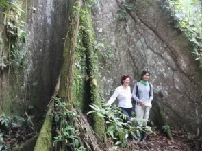 Green forest Ecolodge