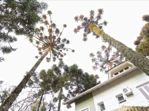 My Home - Felicita 9