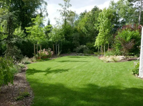 Seegarten #9