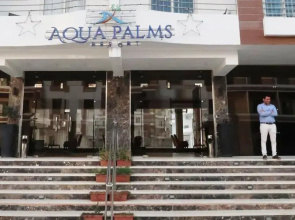 Aqua Palms Studio A210