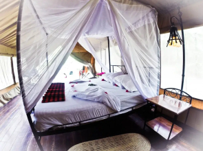 Nsya Lodge