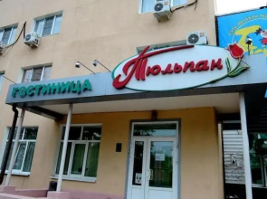 Tyulpan