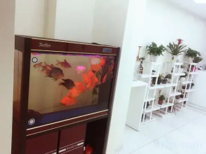 Qingdao Lubang Aijia Apartment (Lubang Customs Street Shop)