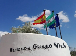 Hacienda Guaro Viejo
