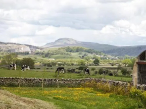 Pendle View