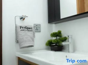 ProSpec Modern Homes