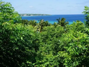 Mangga Lodge
