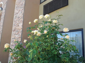 Amerstone Inn & Event Center