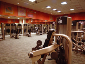 The Palazzo at The Venetian