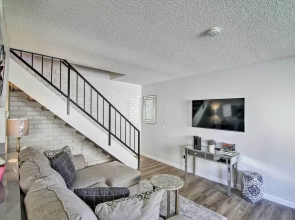 Palm Desert Resort-style Living: Dog Friendly