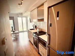 Stylish Luxe Apartment one bedroom with couch.