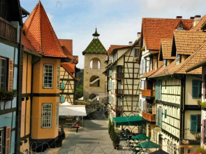 Colmar Tropicale