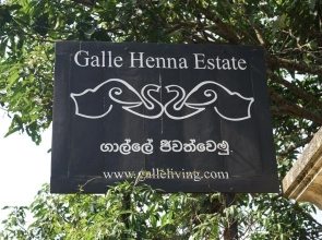 Galle Henna Estate