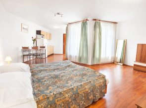 Apartment House Zizkov