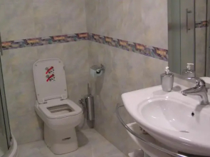 Guest House Villa Miolin