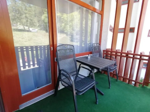 Schluchsee Ferienwohnung 1309