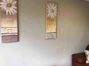 Bangor Home from Home 2bed house