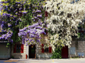 Madonnina Albergo Ristorante