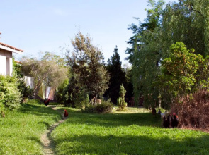 Il Vecchioliveto di Ornella