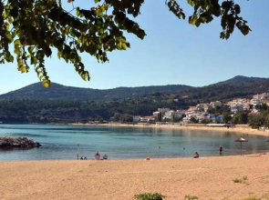 Violet City Center Apartments