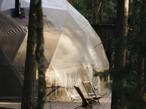 Вили Улей Карелия