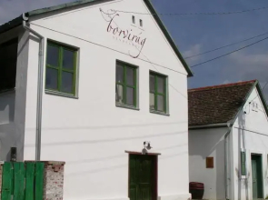 Borvirág Guesthouse