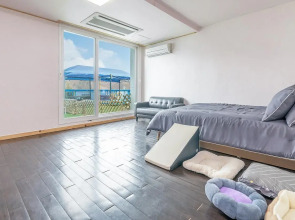 Chuncheon Dogandstay