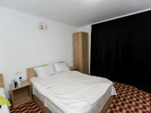 Juliana Platinum Brad