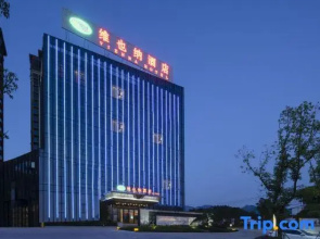 Vienna Hotel (Wuping Wanxing City Store)