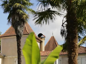 Chateau Saint Martin