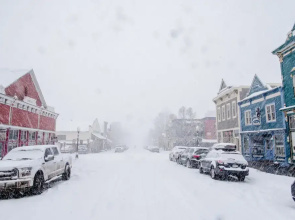 Cozy Pet-friendly King Studio In Mt. Crested Butte Condo - No Cleaning Fee! by RedAwning